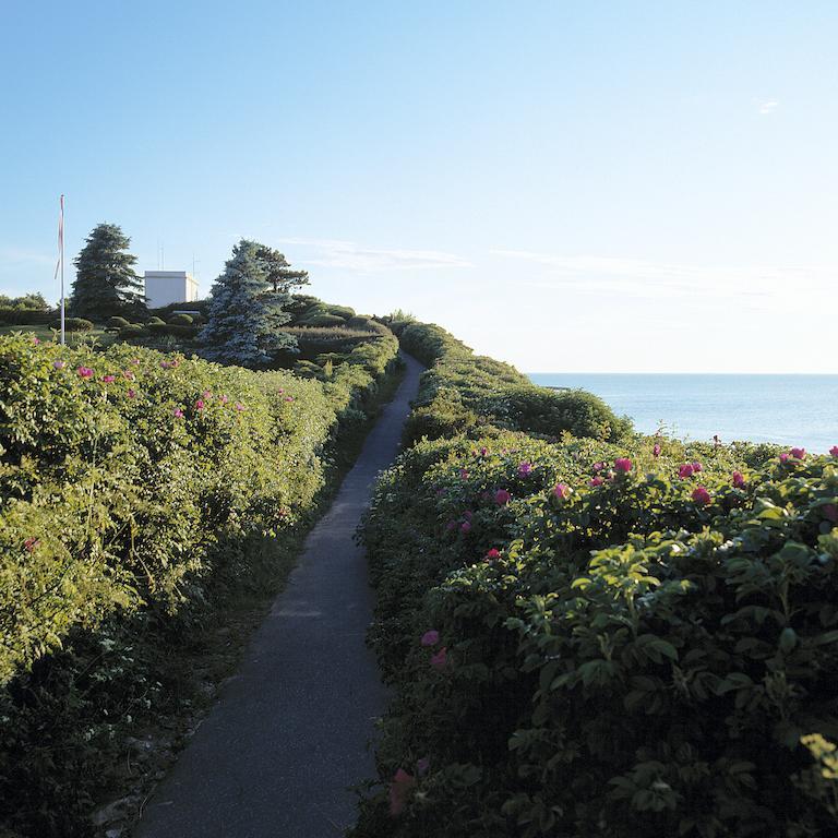 Gilleleje Badehotel المظهر الخارجي الصورة